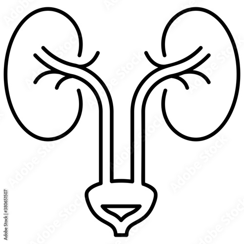 Human Kidneys Vector