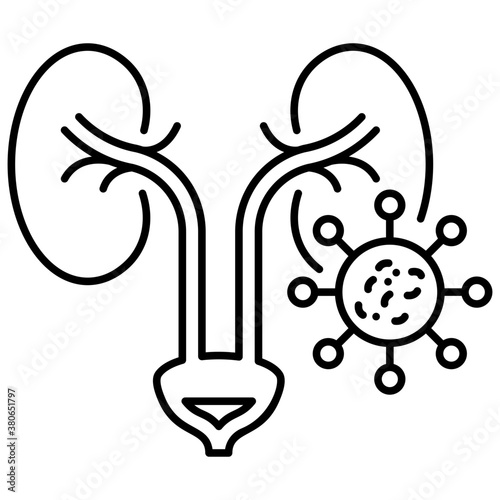 Human Kidneys Infection