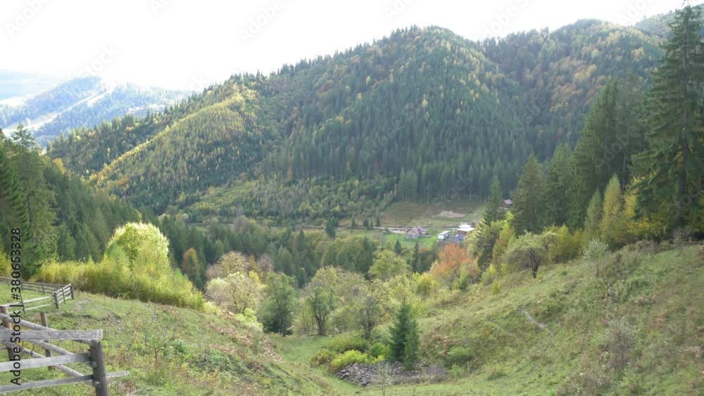 A tree with a mountain in the background. High quality footage. panorama of a beautiful view of the mountains forest fence farm, Carpathian mountains A tree with a mountain in the background. High quality footage. panorama of a beautiful view of the mountains forest fence farm, Carpathian mountains