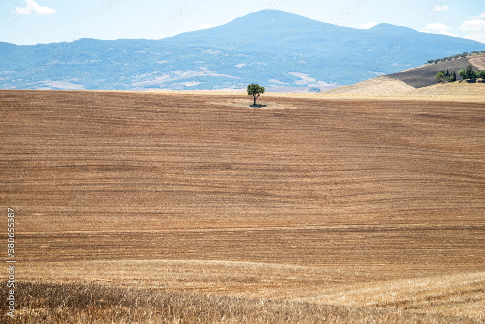 Obraz premium Il paesaggio estivo della Val D Orcia in toscana
