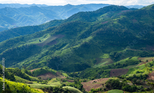 Beautiful agriculture field on Doi Chang mountain in Chiang Rai province of Thailand. Doi Chang is known throughout Thailand for its world-class unique coffee.