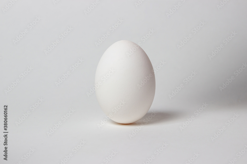 Egg on a white background. White chicken egg Egg on a white background. White chicken egg