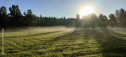 sunrise over the field