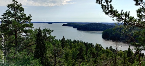 lake and forest