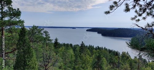 reflection of trees on lake