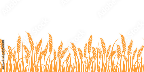 Vector silhouette of wheat. Wheat in the field on a white background