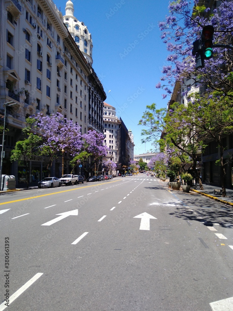 Fototapeta premium Avenida primaveral