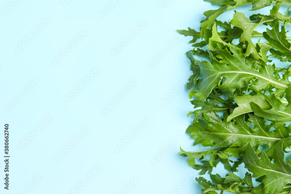 Obraz premium Fresh arugula on light blue background, flat lay. Space for text