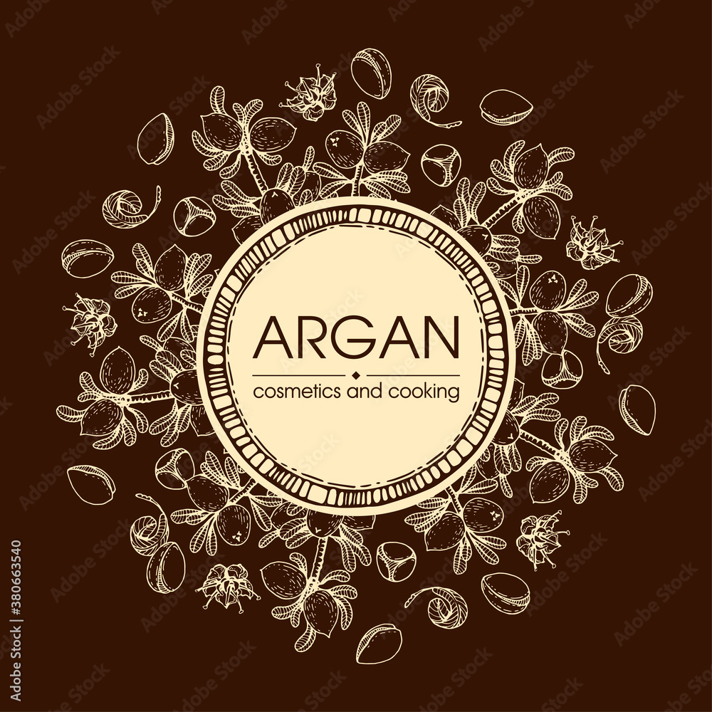 Frame with branch argan tree with fruits, nuts argans, leaves, flower argans Detailed hand-drawn sketches, vector botanical illustration.