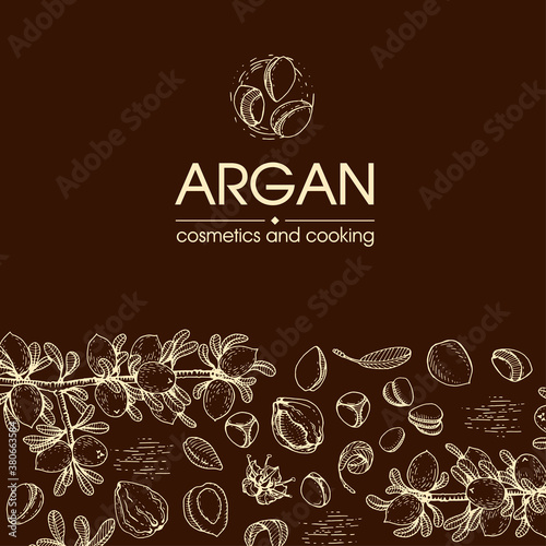 Composition with branch argan tree with fruits, nuts argans, leaves and accessories Detailed hand-drawn sketches, vector botanical illustration.