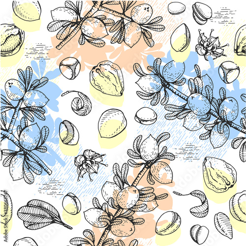 Seamless Pattern with branch argan tree with fruits, nuts argans, leaves, flower argans Detailed hand-drawn sketches, vector botanical illustration.