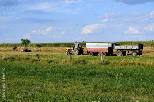 A view of a vast field, meadow or pastureland with some black cows grazing and a single tractor used for harvesting fields and gathering yield visible on a cloudy summer day in Poland