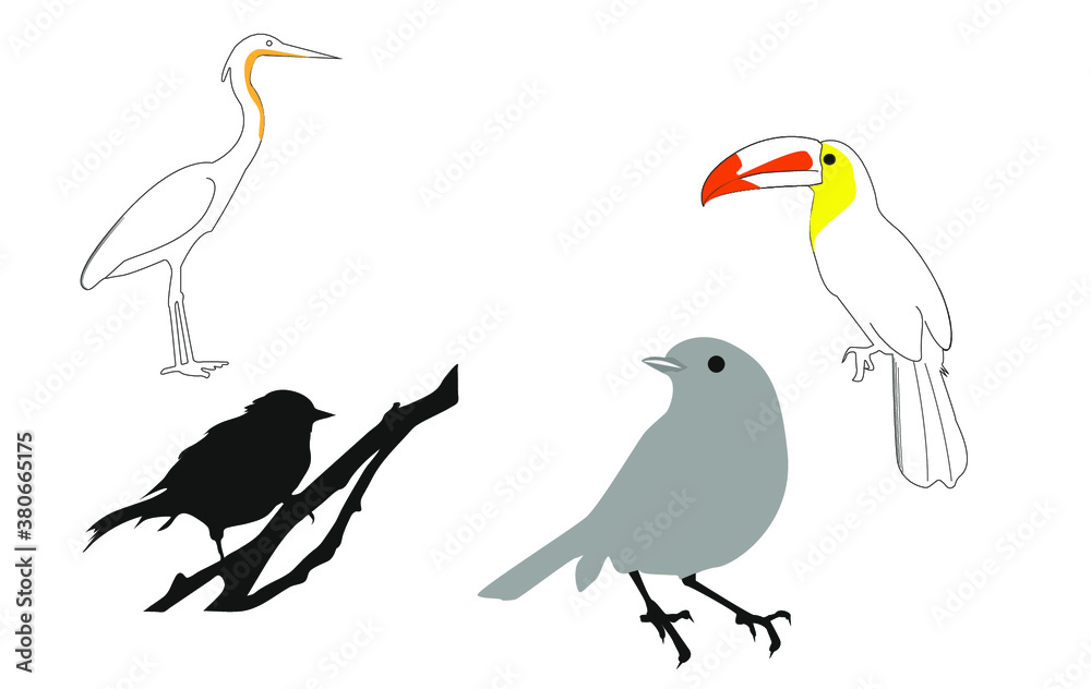 set of birds