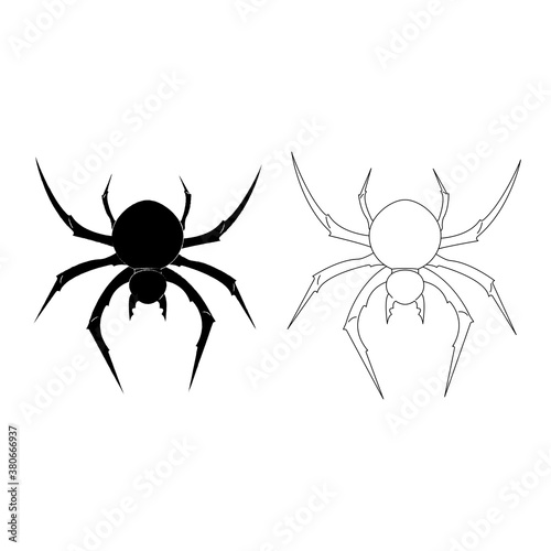 Black and white spiders hand drawn illustration.