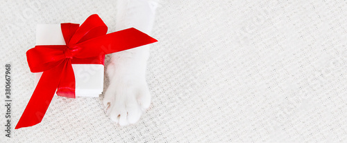 A white gift box with red robbon near a cat paw on a white background. Banner with spac for text. Marry Christmas, Valentine's Day sweet and romantic. photo