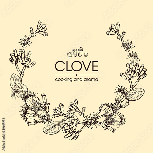 Frame with branches of a carnation tree with leaves, buds and flowers . Detailed hand-drawn sketches, vector botanical illustration.