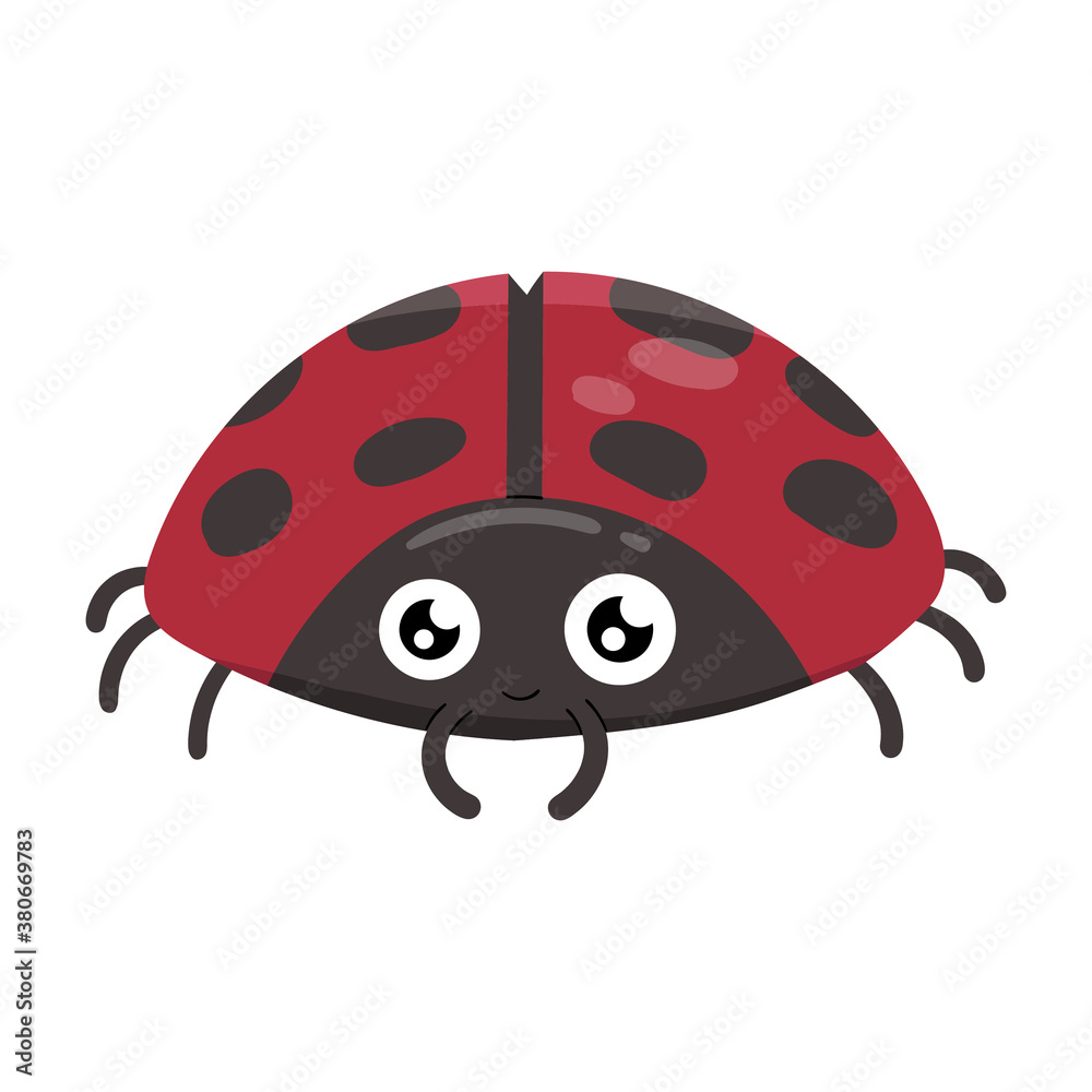 Fototapeta premium Cute ladybugs isolated