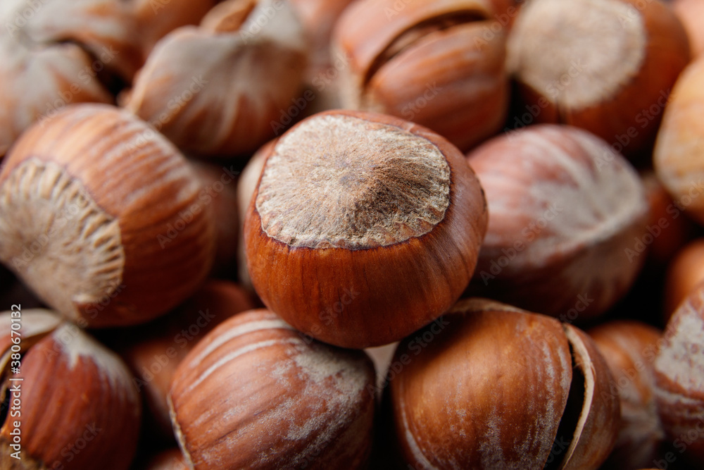 hazelnuts close up hazelnuts close up