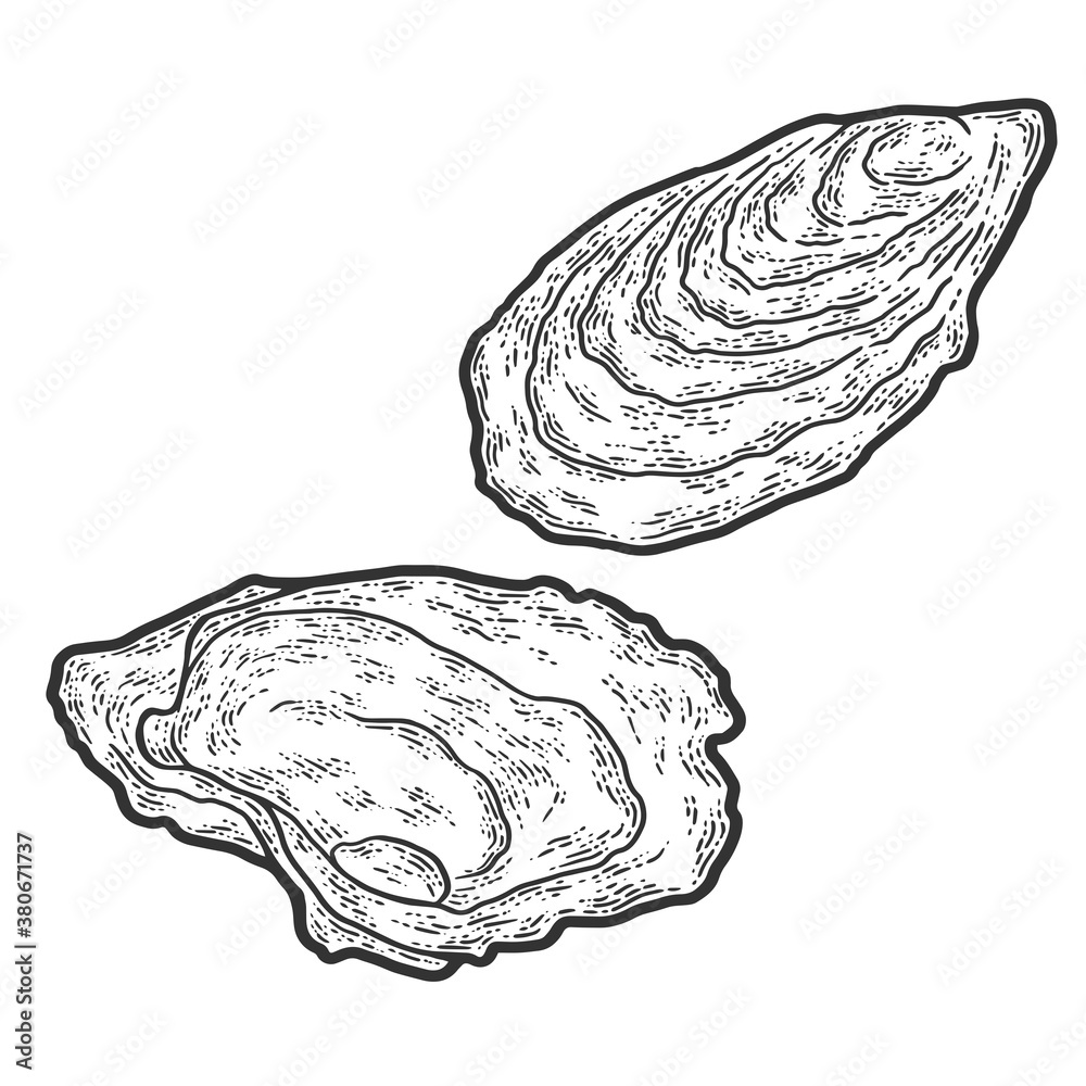 Fototapeta premium Seafood, oyster. Sketch scratch board imitation. Black and white.
