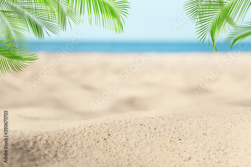 Sandy beach with palms near ocean on sunny day