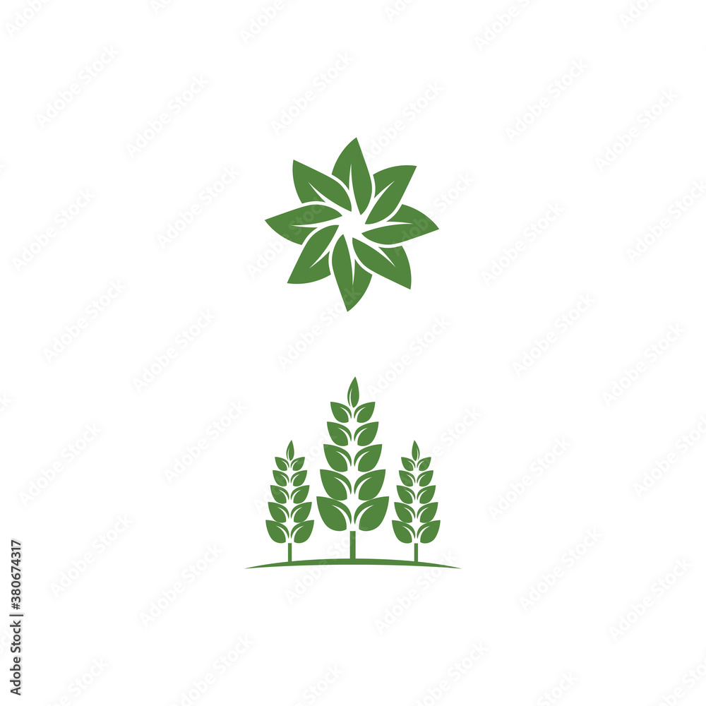 Obraz premium Leaf Logo Template vector symbol