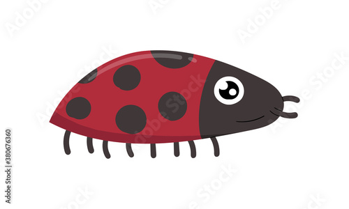 Cute ladybugs isolated