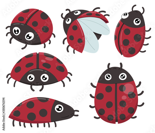 Cute ladybugs isolated