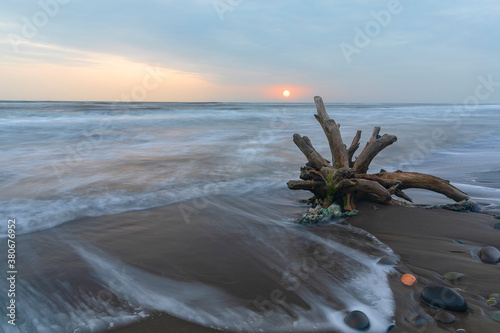 Driftwood lying on the seashore in stormy weather