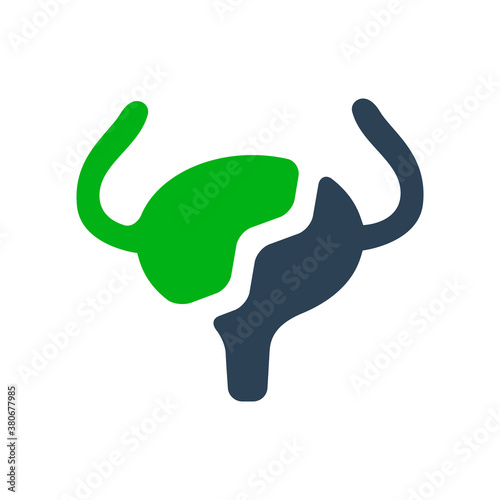 Broken human urinary bladder colored icon. Damaged, diseased internal organ, acute pain, transplant rejection symbol