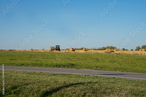 yellow field with haystacks against the sky