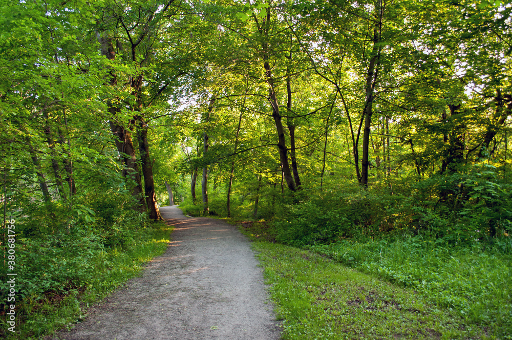 A pathway leading through Dufferin Islands Park in Niagara Falls, Ontario, Canada