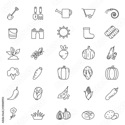 Vegetable gardening outline icons set on white background.