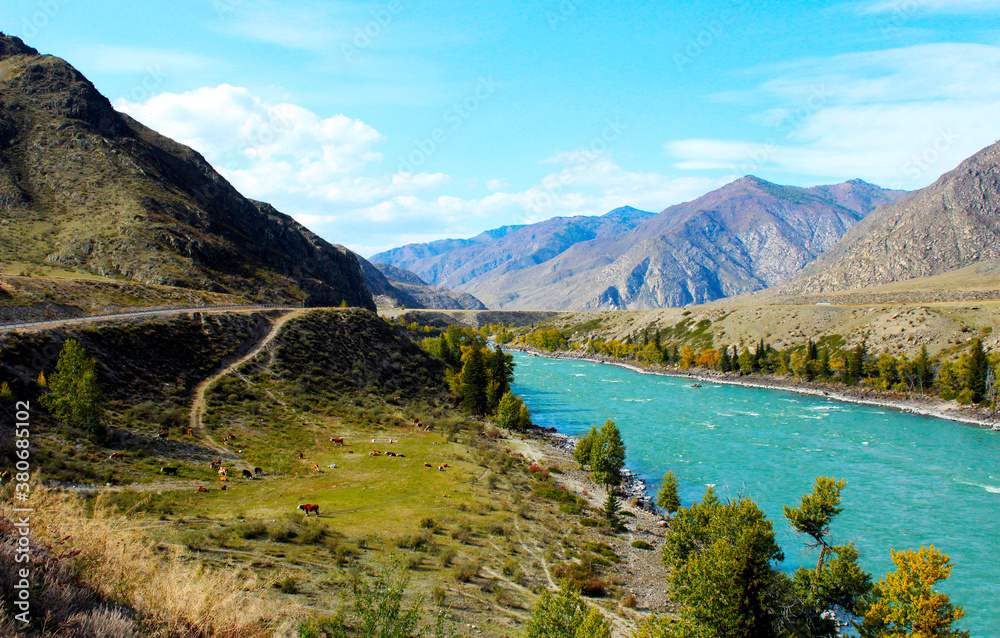 Turquoise Katun River in the Altai Republic Turquoise Katun River in the Altai Republic
