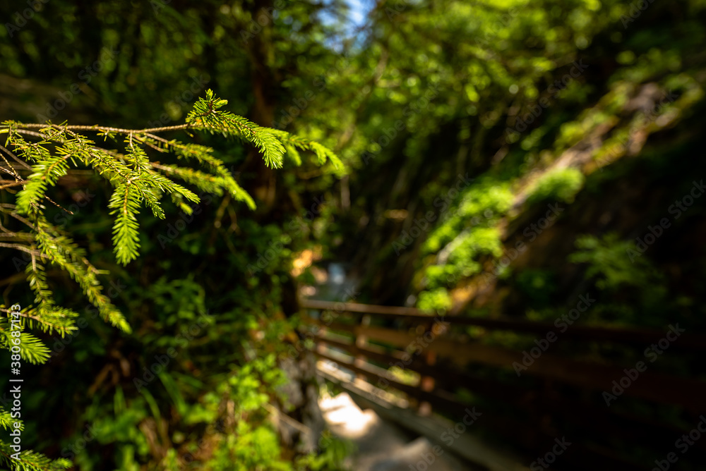 Beautiful wooden path trail for nature trekking and alp hiking with mountain river, canyon and waterfall, located in Wimbachklamm, Berchtesgaden, Bavaria, Germany (Bavarian Alps) Beautiful wooden path trail for nature trekking and alp hiking with mountain river, canyon and waterfall, located in Wimbachklamm, Berchtesgaden, Bavaria, Germany (Bavarian Alps)