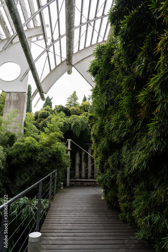 Quadro em tela Big empty vivarium with green blooming plants and modern architecture