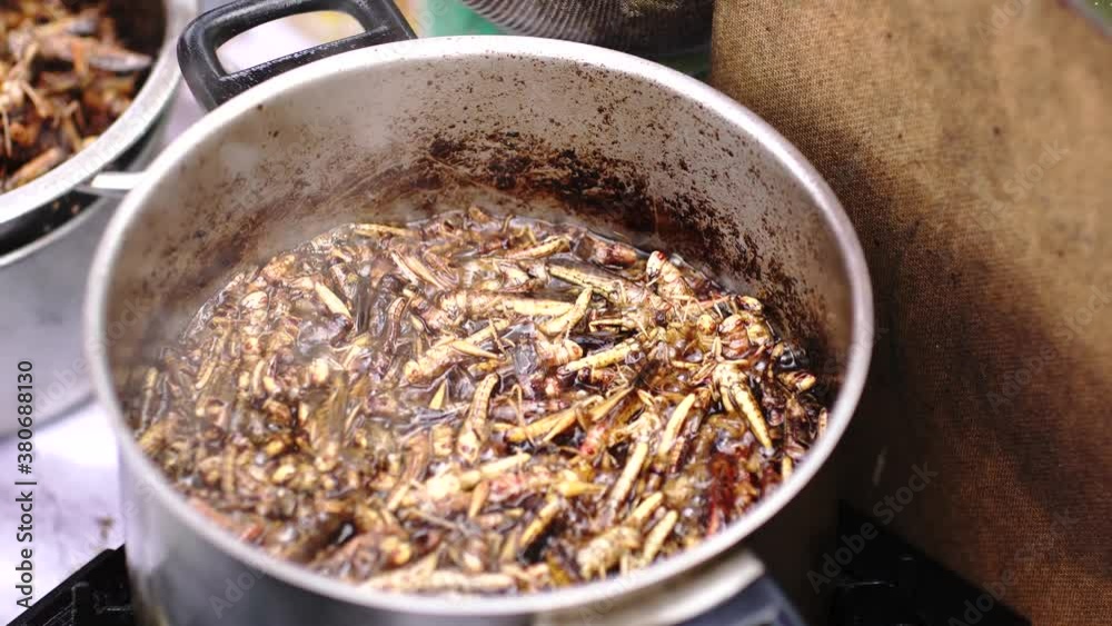 Asian street market with grasshoppers cooking in the pot Asian street market with grasshoppers cooking in the pot