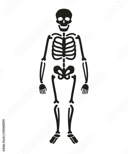 Full length skeleton silhouette. Halloween symbol vector