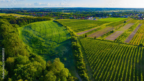 Aerial view of beautiful green fields and trees landscape, small town Kłodawa in the background, near Gorzów Wielkopolski