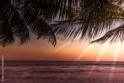 sunset on the beach