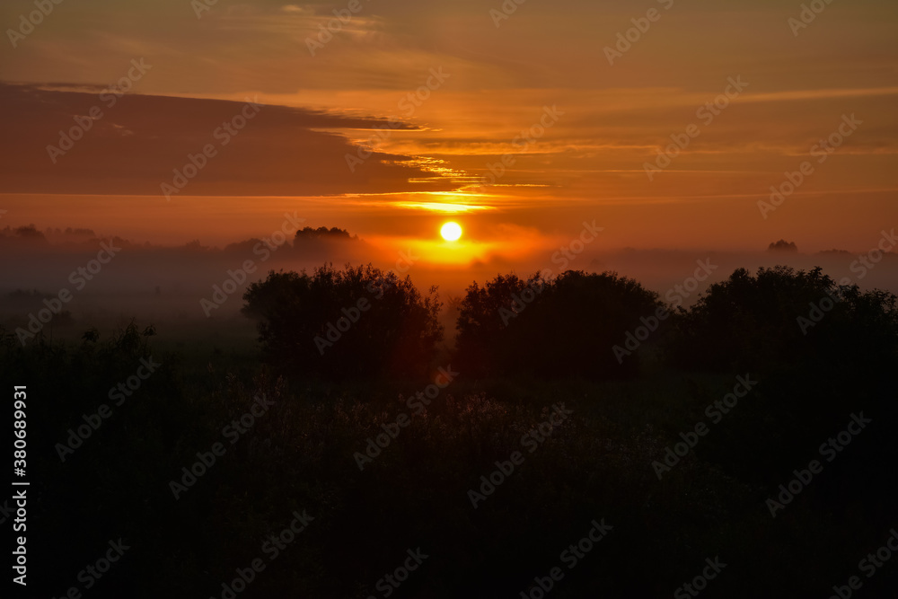 orange sunrise with fogs in the forest. silhouettes of trees at dawn orange sunrise with fogs in the forest. silhouettes of trees at dawn