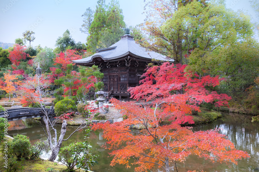 Bentendo of Seiryoji temple in fall color in Kyoto, Japan Bentendo of Seiryoji temple in fall color in Kyoto, Japan