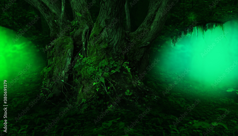Old thick willow tree and branch with hanging moss in fairy tale forest full of colorful magical lights and mist