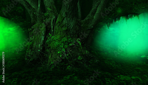 Old thick willow tree and branch with hanging moss in fairy tale forest full of colorful magical lights and mist