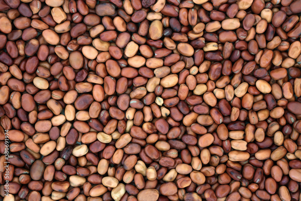 Dried fava beans, broad beans, health food background. Vegan & vegetarian health food high in fibre, vitamins & minerals & has many health benefits. Flat lay, top view. Dried fava beans, broad beans, health food background. Vegan & vegetarian health food high in fibre, vitamins & minerals & has many health benefits. Flat lay, top view.