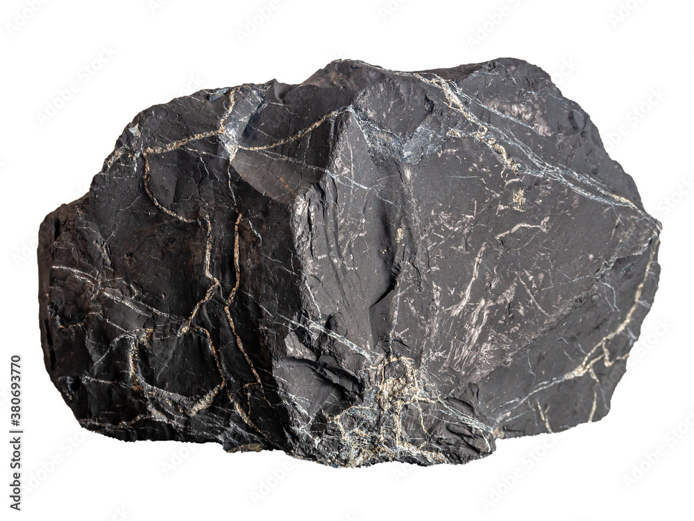 large shungite with pyrite streaks
