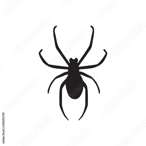 Halloween black vector illustration with big spider isolated on white background. © AlyceStrogaya