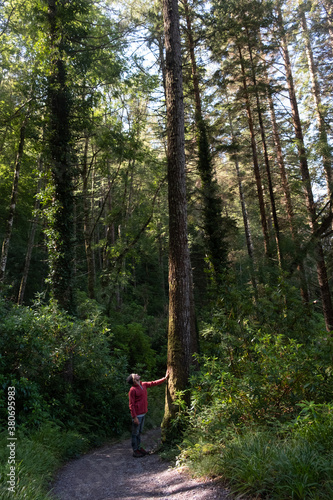 Man touching tree trunk in a forest photo