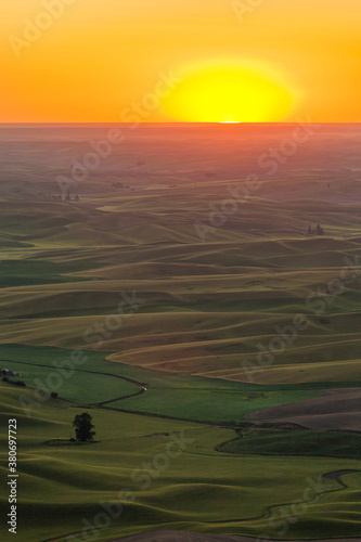 Obraz na płótnie Rolling green wheat fields in the Palouse region of eastern Washington, USA at sunset w salonie