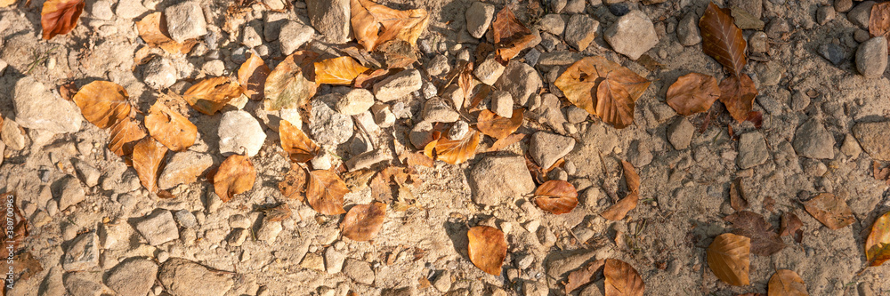 Stony footpath with dry leaves in autumn. Panoramic image Stony footpath with dry leaves in autumn. Panoramic image
