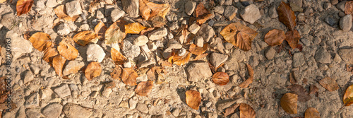 Stony footpath with dry leaves in autumn. Panoramic image
